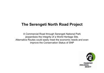 Presentation on the Serengeti Road / Alternative Routes