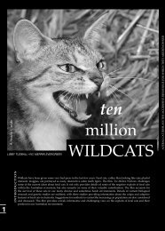 Ten Million Wildcats Notes