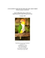 Management Guide For The White Bellied Caique - Rare Species ...