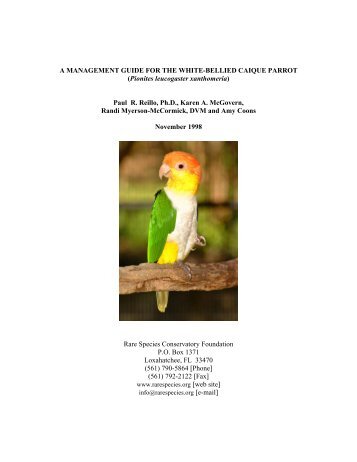 Management Guide For The White Bellied Caique - Rare Species ...