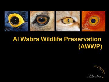 Al Wabra Wildlife Preservation (AWWP) - Qatar Sustainability Expo