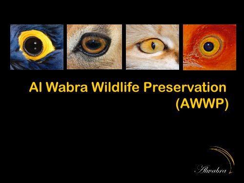 Al Wabra Wildlife Preservation (AWWP) - Qatar Sustainability Expo