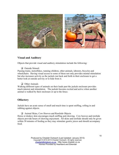 Enrichment Suggestions for Captive-born, Hand-reared Jackals ...