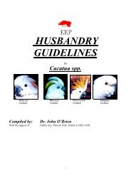 HUSBANDRY GUIDELINES - Australasian Society of Zoo Keeping