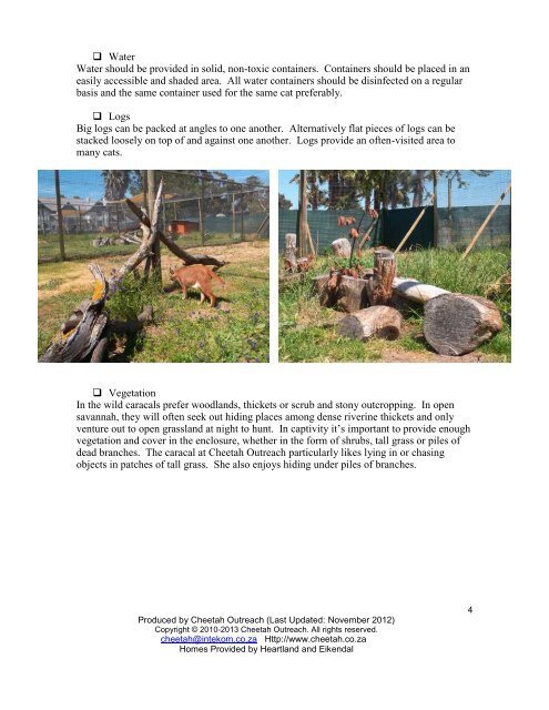 Enrichment Suggestions for Captive-born, Hand-reared Caracal ...