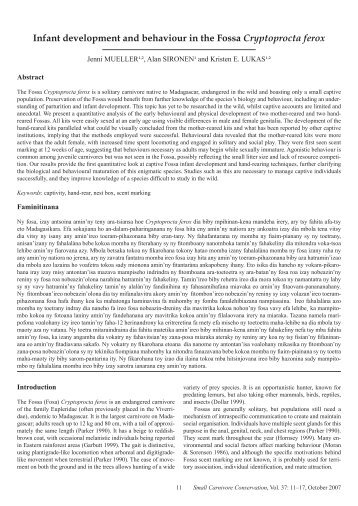 Infant development and behaviour in the Fossa Cryptoprocta - Small ...