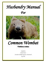 Husbandry Manual Common Wombat - Fourth Crossing Wildlife