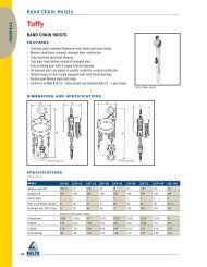 Hand Chain Hoists - Delta Rigging & Tools