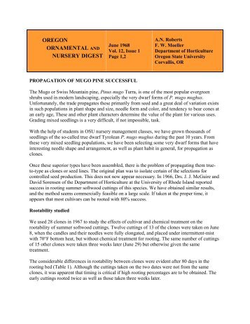 Propagation of Mugo Pine Successful, Vol.12, Issue 1