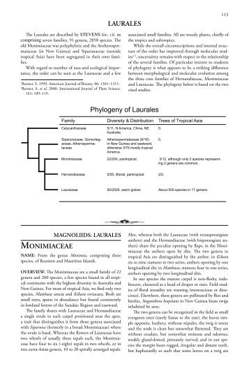 LAURALES MONIMIACEAE Phylogeny of Laurales - XTBG-Botany