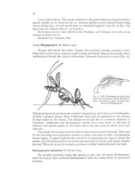 Synopsis of a hundred common non-anopheline mosquitoes of the ...
