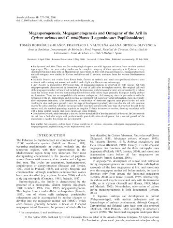 Megasporogenesis, Megagametogenesis and ... - Annals of Botany