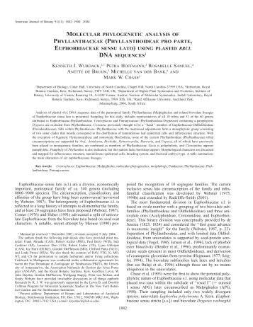 molecular phylogenetic analysis of phyllanthaceae - American ...