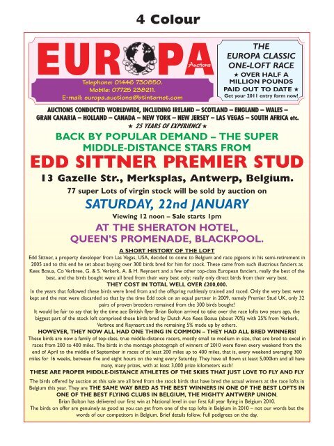 Europa - Edd Sittner - Premier Racing Stud