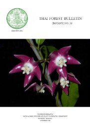 PDF) Occurrence of Ariopsis protanthera N.E. Br. (Araceae) in Darjeeling  Hills: A new record for the flora of West Bengal, India