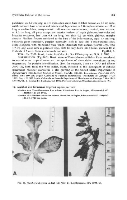 Manihot Manihotoides (Euphorbiaceae) - CNCFlora