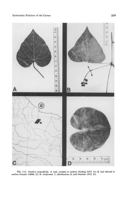 Manihot Manihotoides (Euphorbiaceae) - CNCFlora