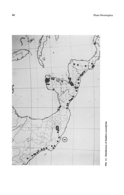 Manihot Manihotoides (Euphorbiaceae) - CNCFlora