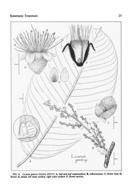 flora neotropica - CNCFlora