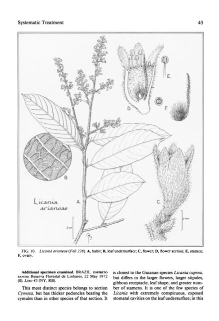 flora neotropica - CNCFlora