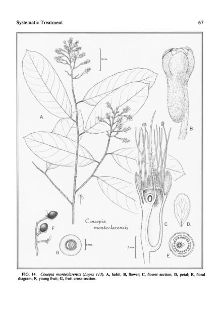 flora neotropica - CNCFlora