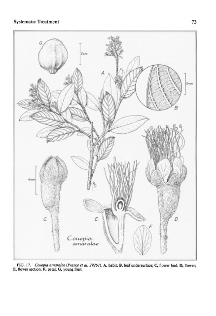 flora neotropica - CNCFlora