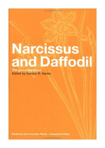 Narcissus and Daffodil