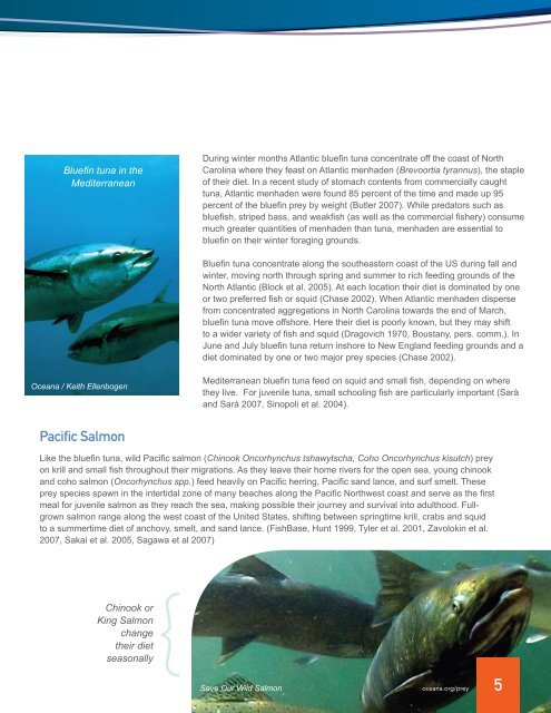 Hungry Oceans (PDF) - Oceana
