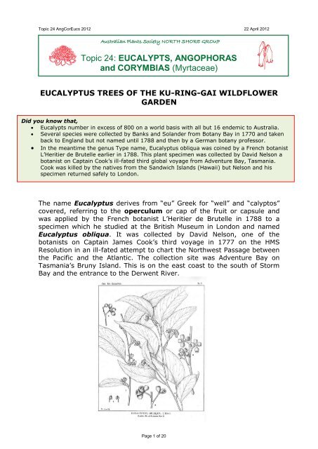 EUCALYPTS, ANGOPHORAS and CORYMBIAS - Australian Plants ...