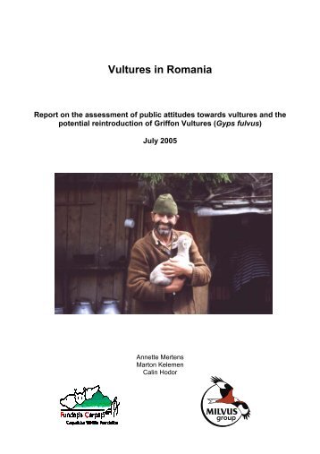 Vulture in Romania - Milvus Group