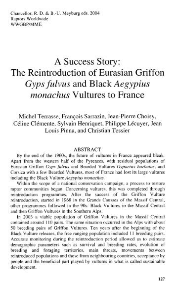 A Success Story: The Reintroduction of Eurasian Griffon monachus ...