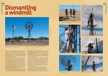 Dismantling a windmill - National Museum of Australia