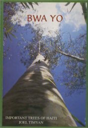 Important Trees of Haiti