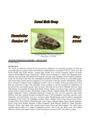 newsletter 21.pdf - Dorset Moth Group