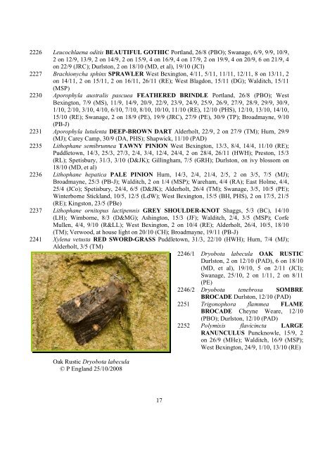 newsletter 21.pdf - Dorset Moth Group