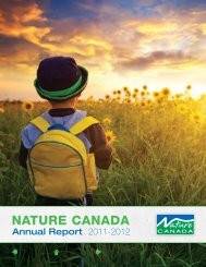 Download as a PDF - Nature Canada