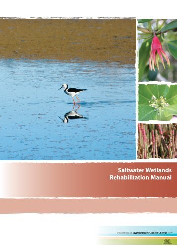 Saltwater Wetlands – Rehabilitation Manual - Department of ...