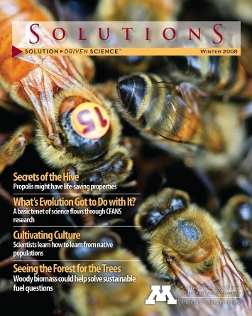 Secrets of the Hive What's Evolution Got to Do with It? Cultivating ...