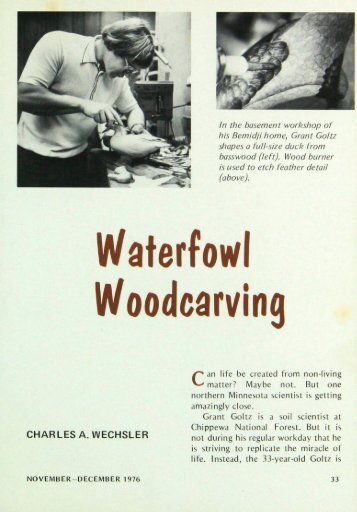 Waterfowl Woodcarving - webapps8