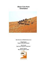 Bison Cow Hunt Orientation - Utah Division of Wildlife Resources