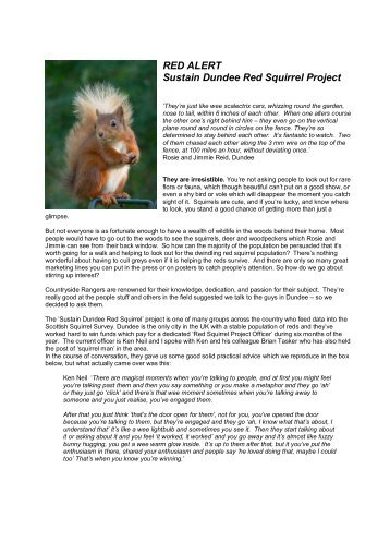 Dundee Red Squirrel Project - Hambrey Consulting