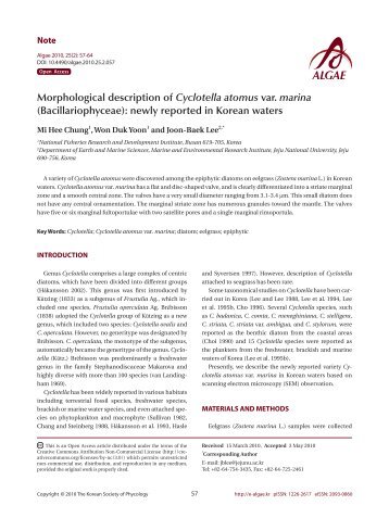 Morphological description of Cyclotella atomus var. marina ... - Algae