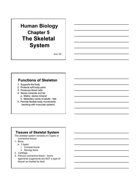 Chapter 5 the skeletal system - Faculty Pages | MSU