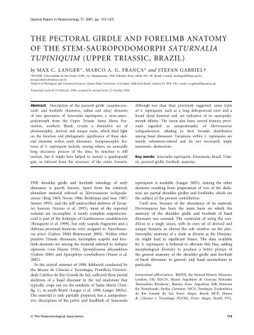 THE PECTORAL GIRDLE AND FORELIMB ... - Biota/Fapesp