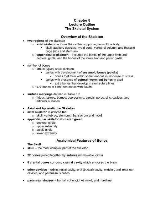 Chapter 8 Lecture Outline The Skeletal System Overview of the ...