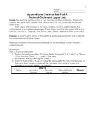 Appendicular Skeleton Lab Part A: Pectoral Girdle and ... - MSAD #54