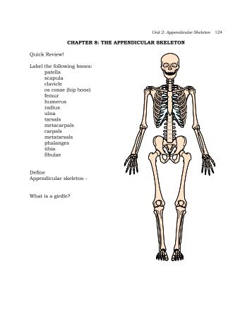 bony marking lab