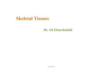 Chap 4- Skeletal Tissues.pdf