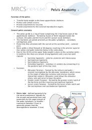 Pelvis Anatomy 1 - MRCS