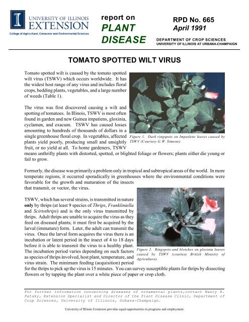 Tomato Spotted Wilt Virus - Integrated Pest Management at the ...